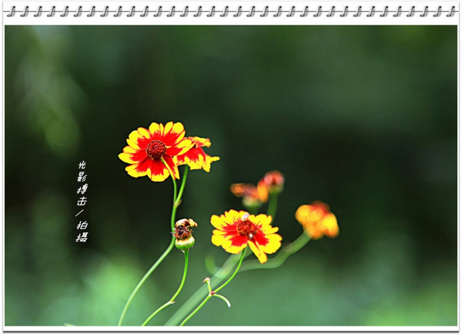 IMG_5249_副本.jpg