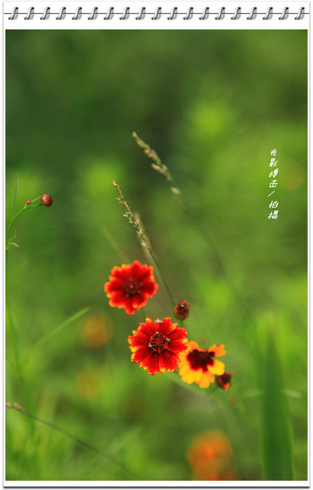 IMG_5247_副本_副本.jpg