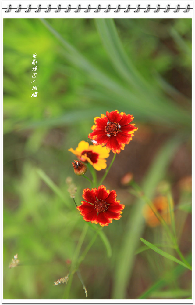 IMG_5248_副本.jpg