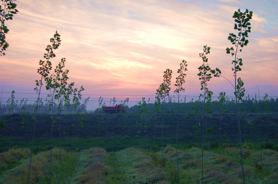 夕阳 (4)_副本.jpg