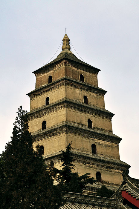_DSC0031副本.jpg