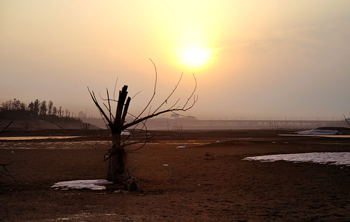 _DSC0013副本.jpg