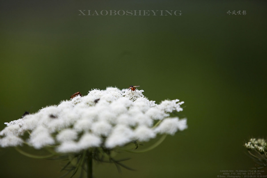 20130620_0879副本.jpg