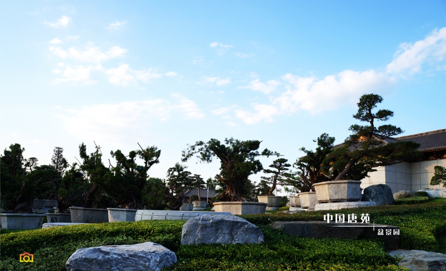 唐苑光影06.jpg