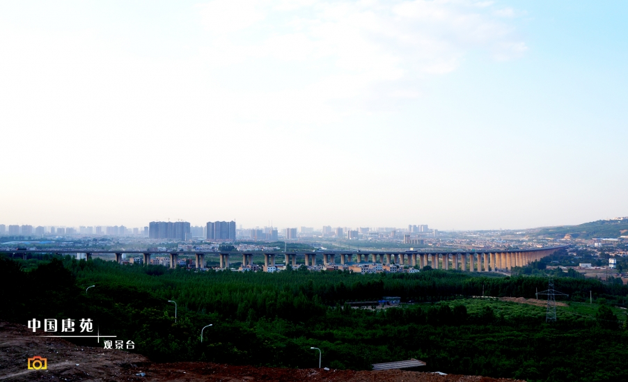 唐苑光影07.jpg
