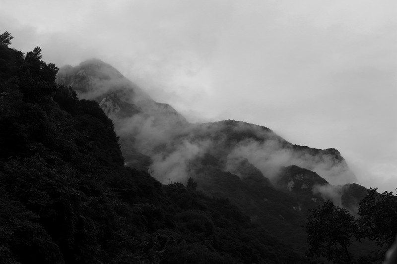 IMG_2355_副本.jpg