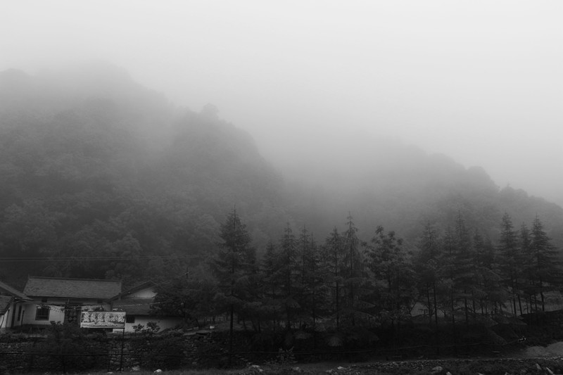 IMG_2339_副本.jpg