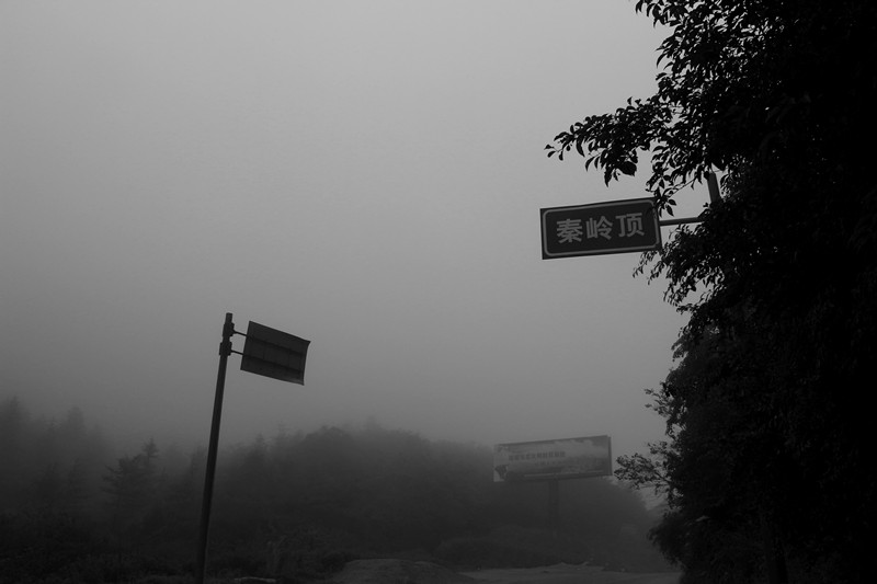 IMG_2341_副本.jpg