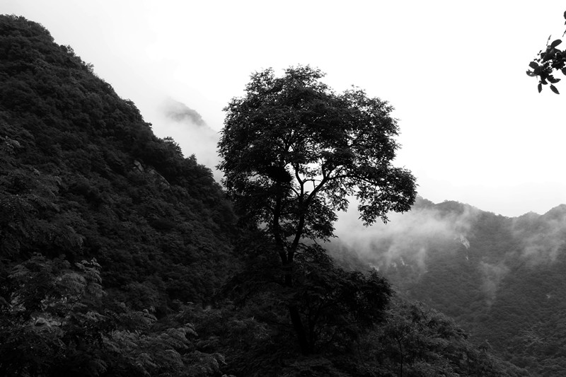 IMG_2354_副本.jpg