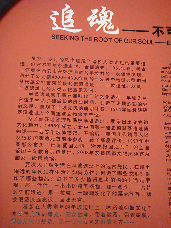 DSC08523_副本.jpg