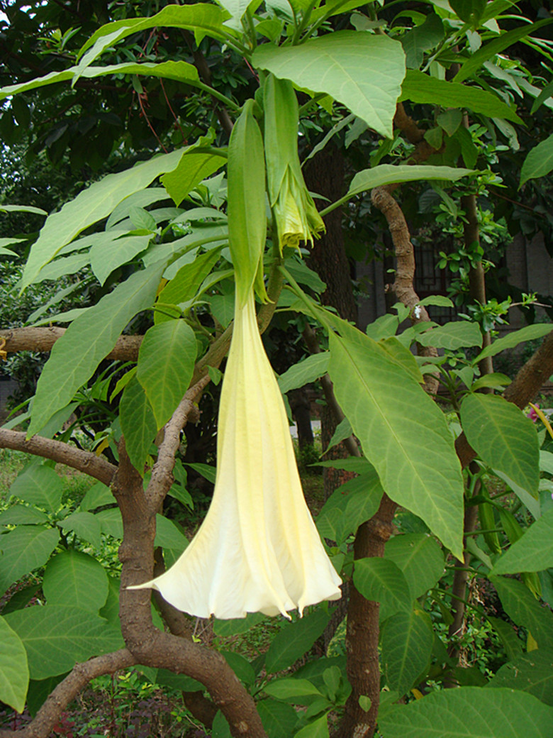 DSC08626_副本.jpg