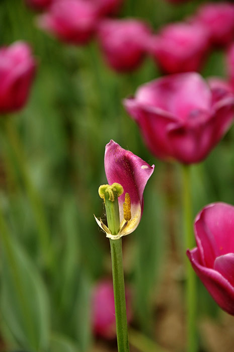 _DSC0016副本.jpg