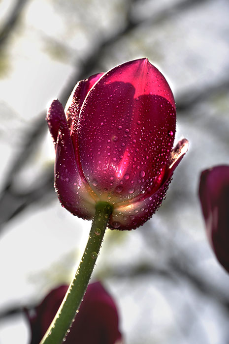 _DSC0023副本.jpg