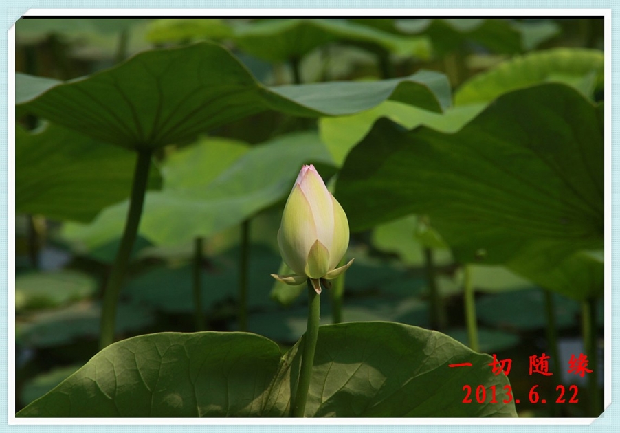 IMG_1482_副本.jpg