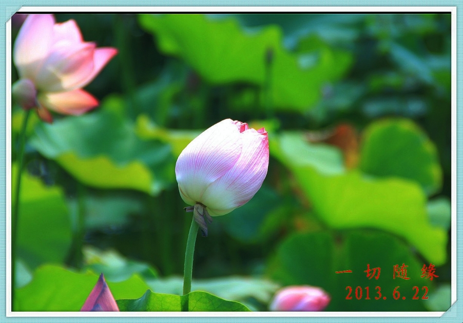 IMG_1506_副本.jpg