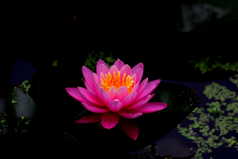 DPP_00130_副本.jpg