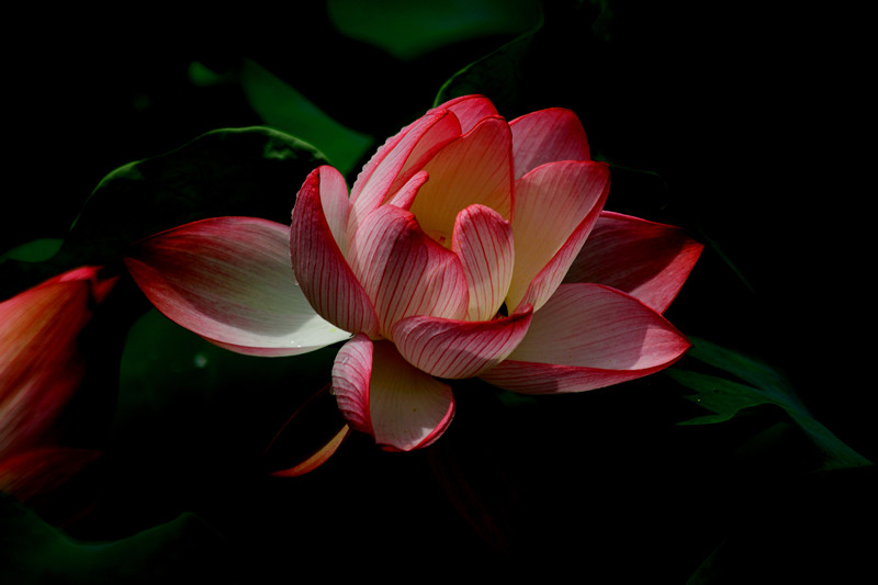 DPP_00139_副本.jpg