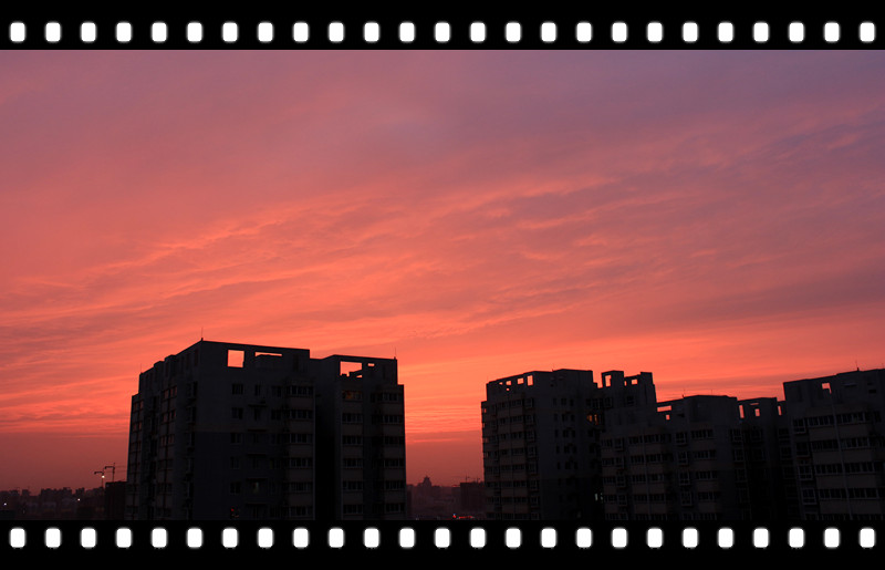 IMG_2508_副本.jpg