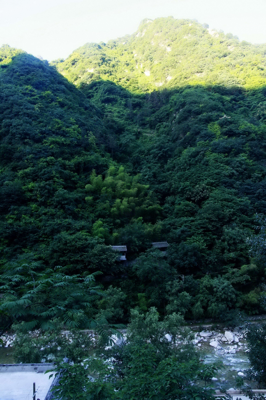 _MG_0510A_调整大.jpg