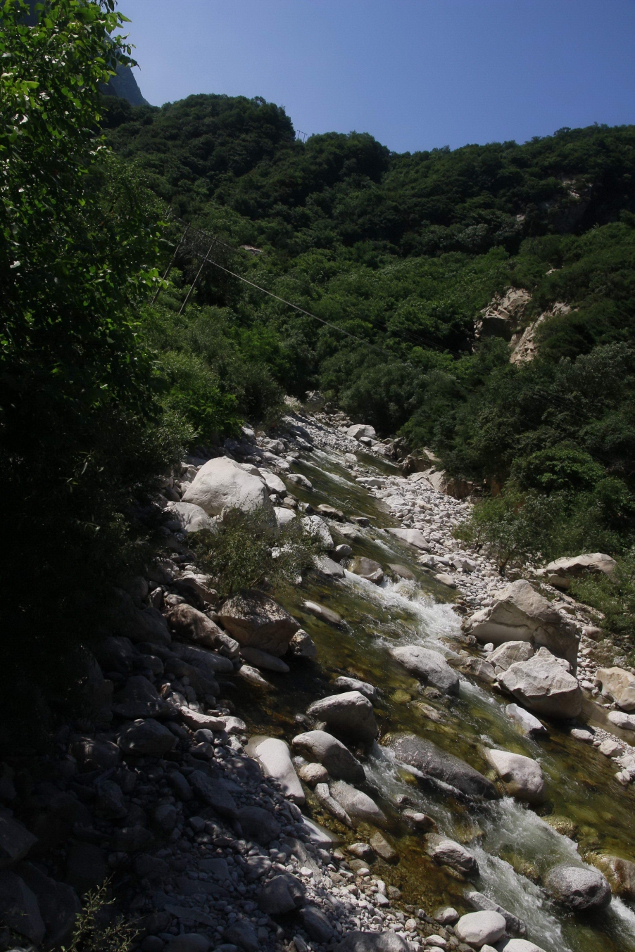 _MG_0561_调整大小.jpg