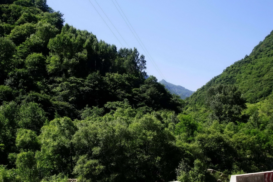 _MG_0599A_调整大.jpg