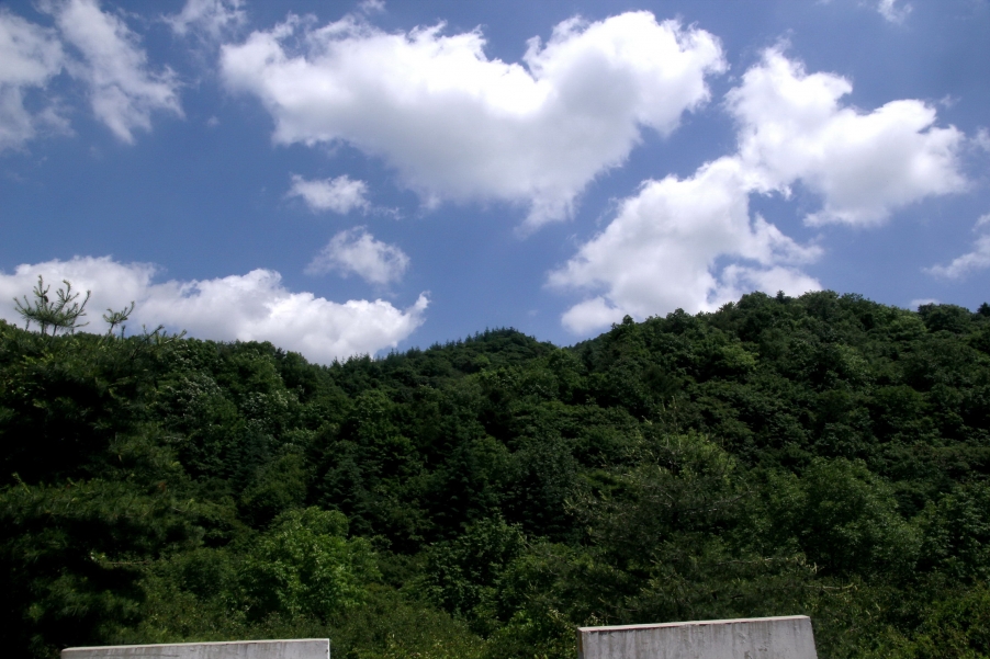 _MG_0647A_调整大小.jpg