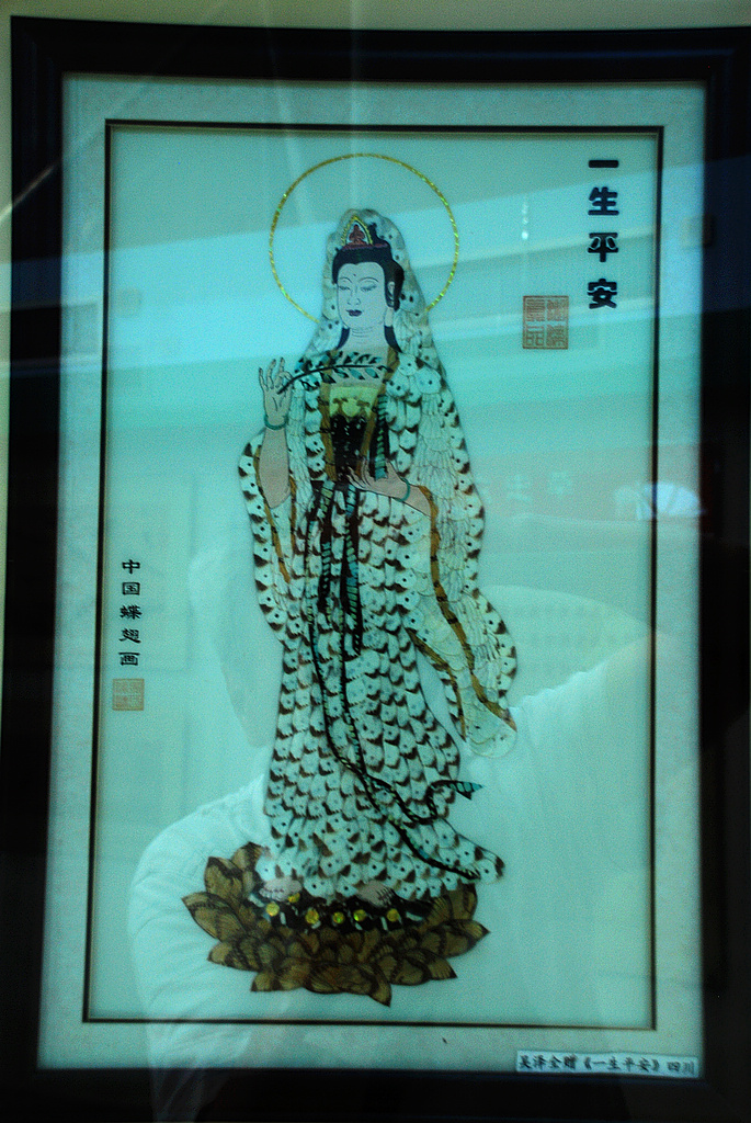 蝶翅画