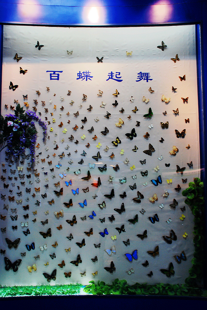 DSC_0119 (2).JPG