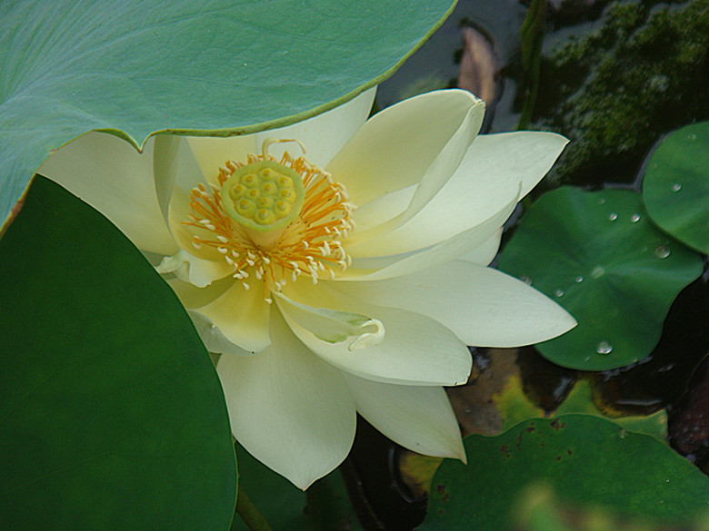 DSC08759_副本.jpg