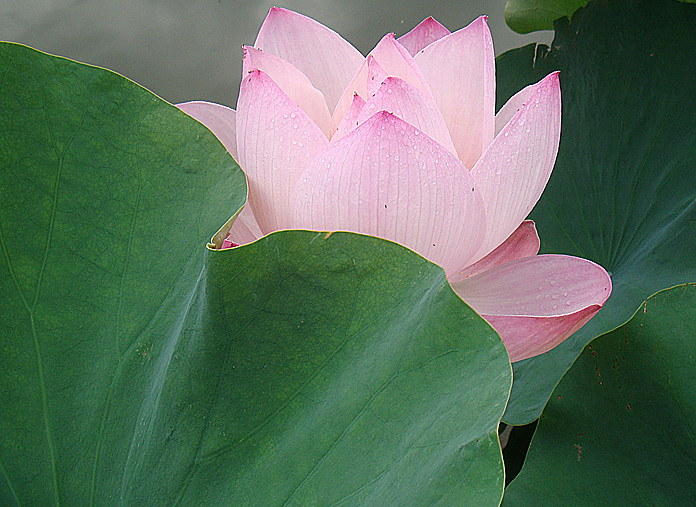 DSC08743_副本.jpg