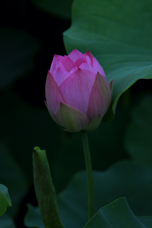 IMG_8846.jpg