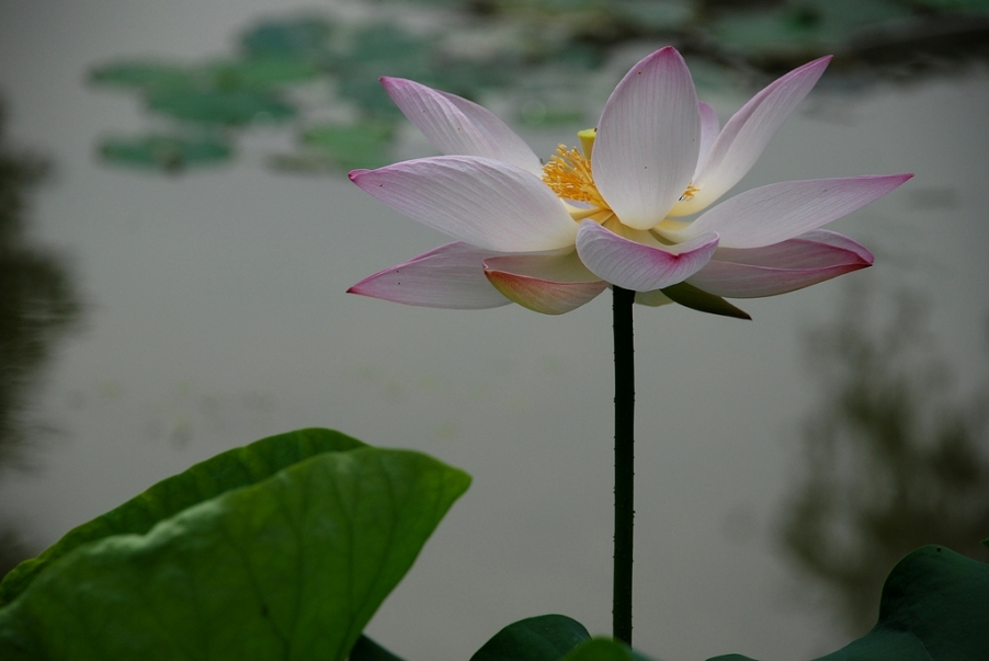 DSC_0046.JPG