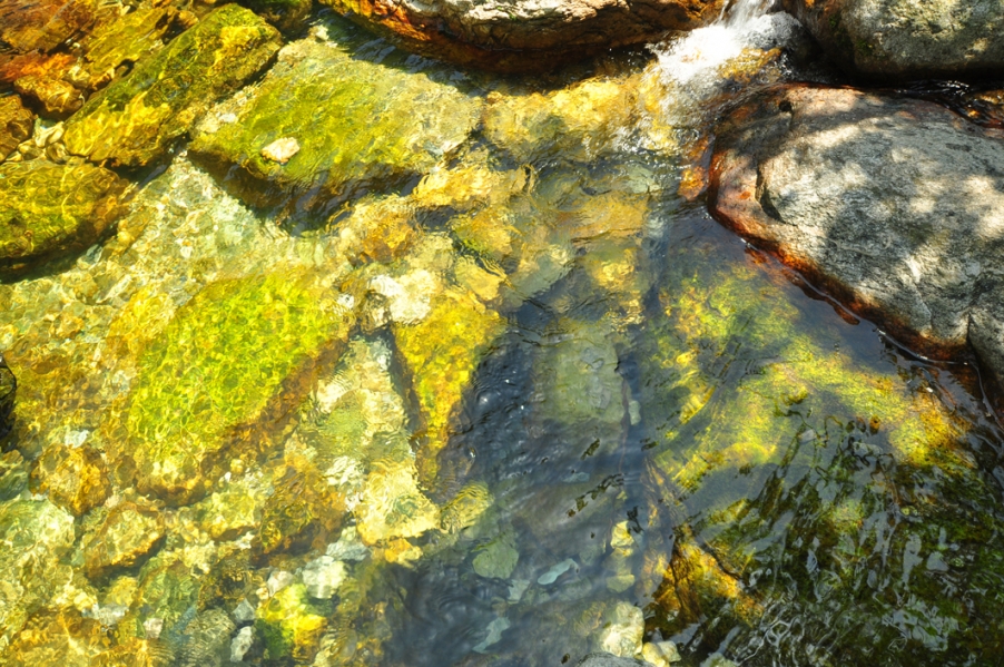 DSC_0114.JPG