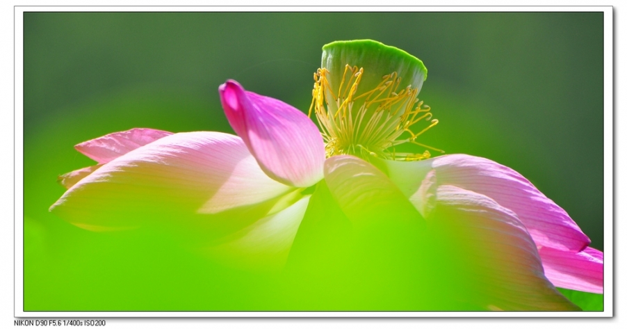 nEO_IMG_桌面照片 10162副本.jpg