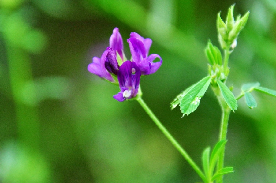 DSC_0620.jpg
