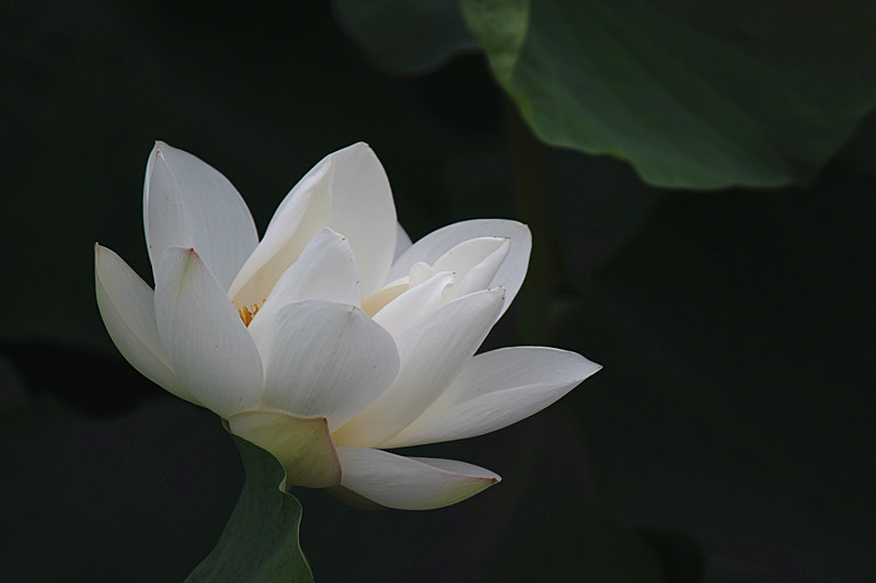 IMG_7660_副本.jpg
