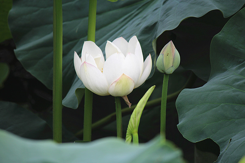 IMG_7663_副本.jpg