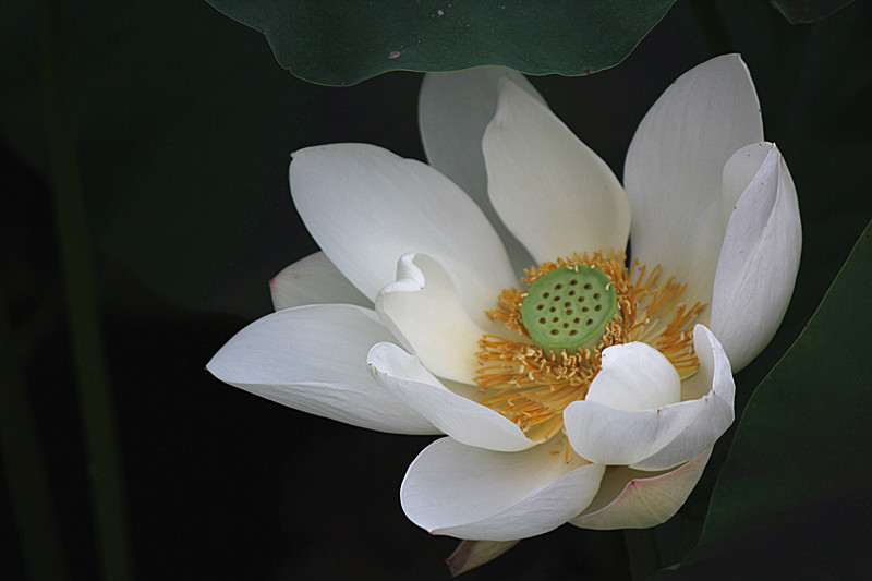 IMG_7672_副本.jpg
