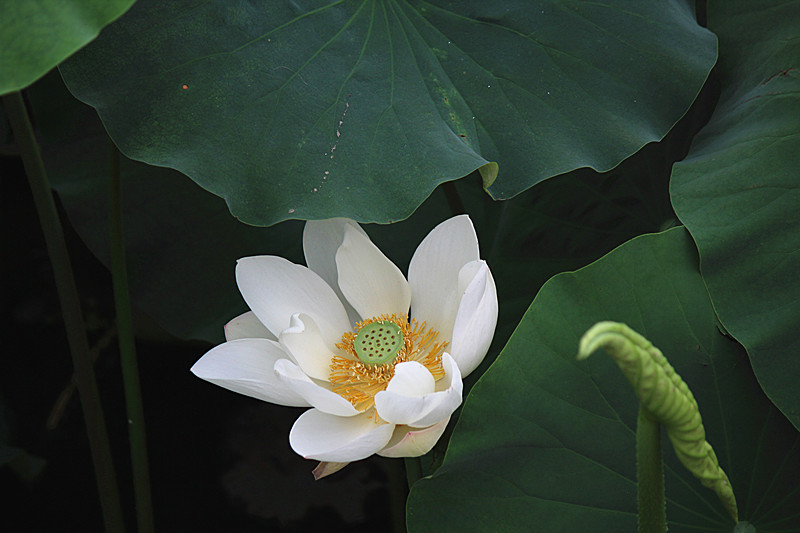 IMG_7671_副本.jpg