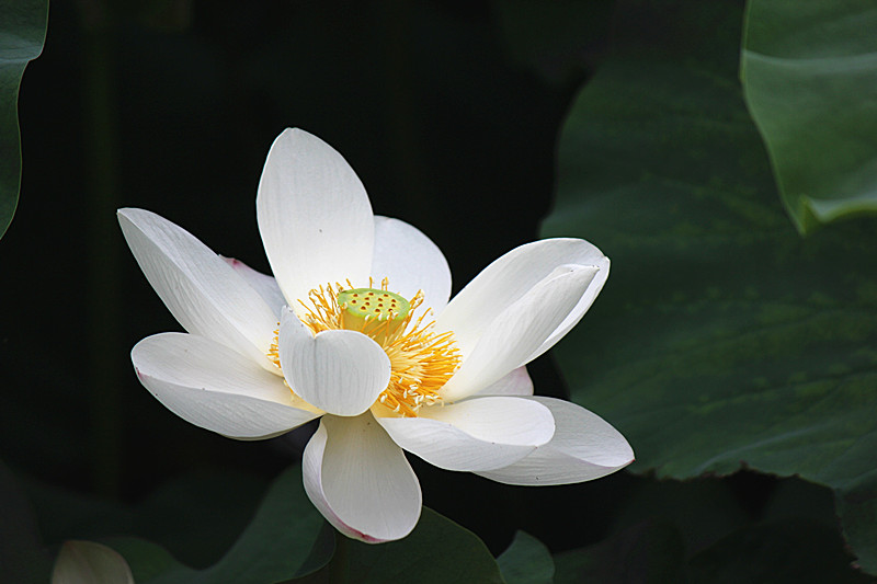 IMG_7674_副本.jpg