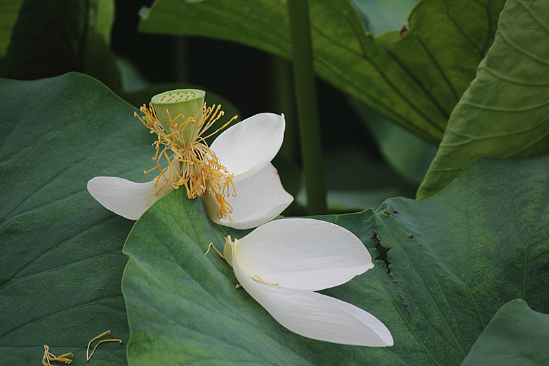 IMG_7683_副本.jpg