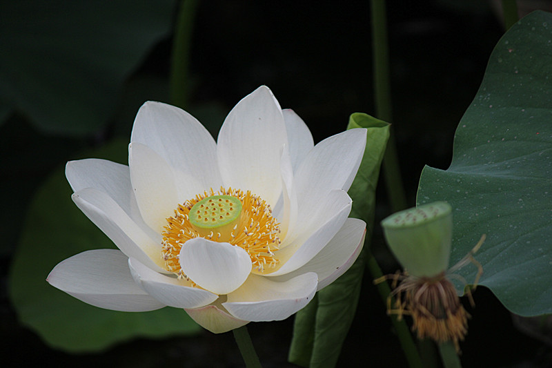 IMG_7689_副本.jpg