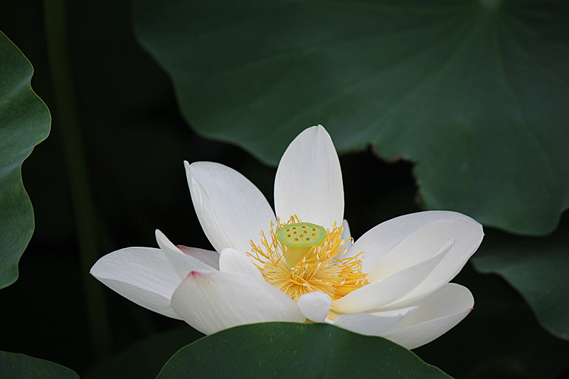IMG_7687_副本.jpg