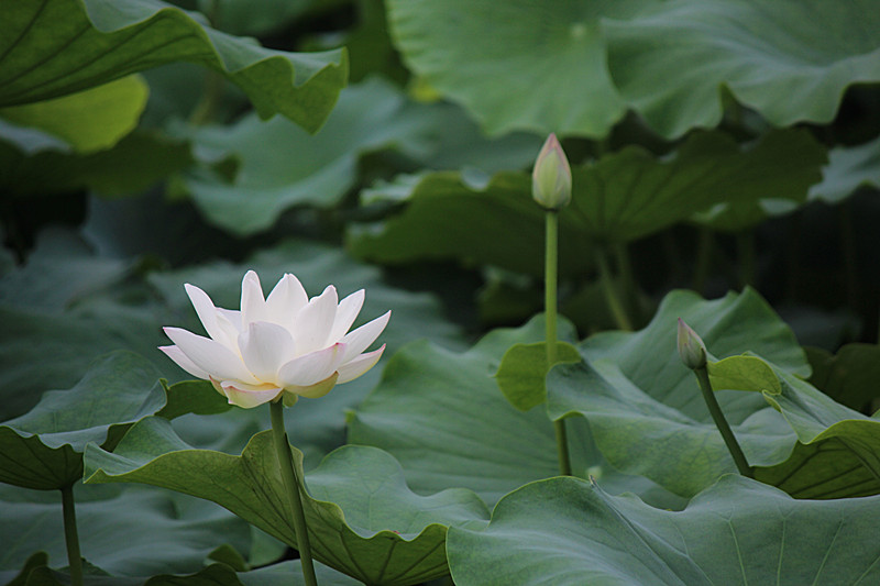 IMG_7707_副本.jpg
