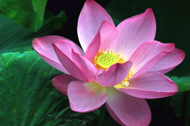 DSC_0045_副本.jpg