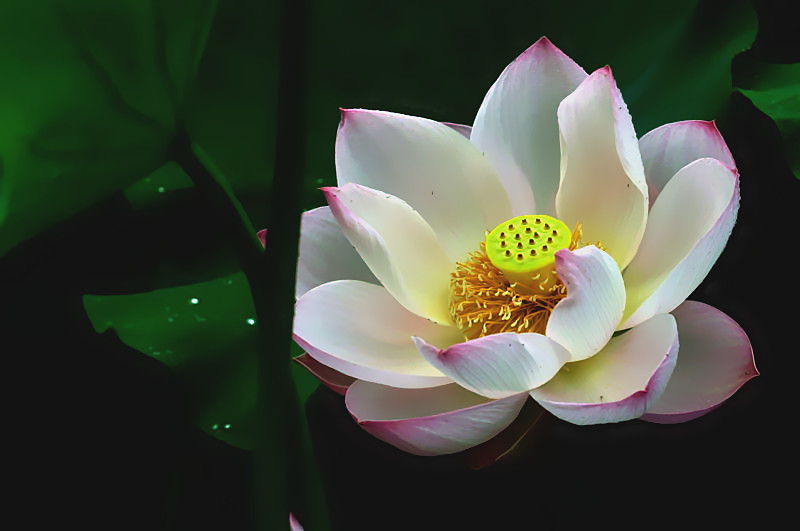 DSC_0021_副本.jpg