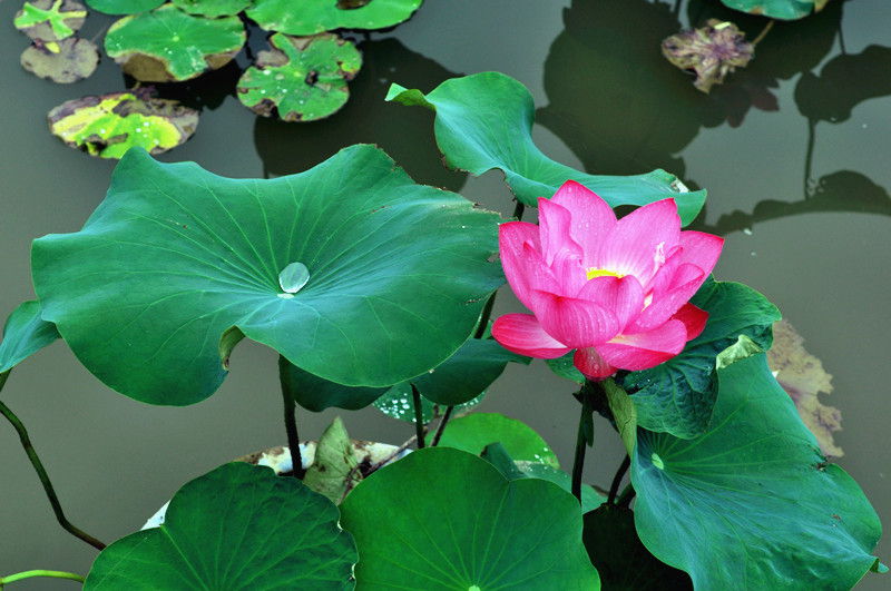 DSC_0077_副本.jpg