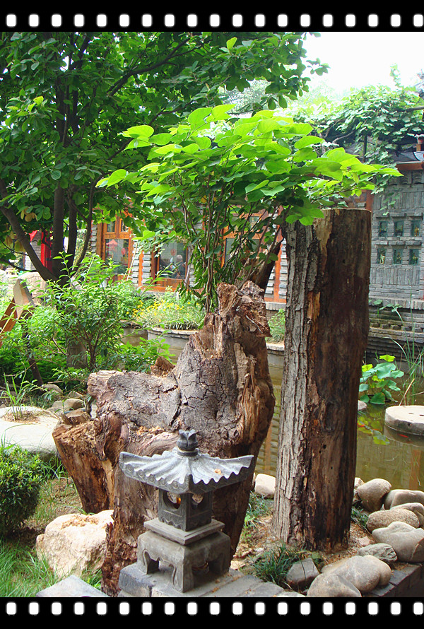 DSC08638_副本.jpg