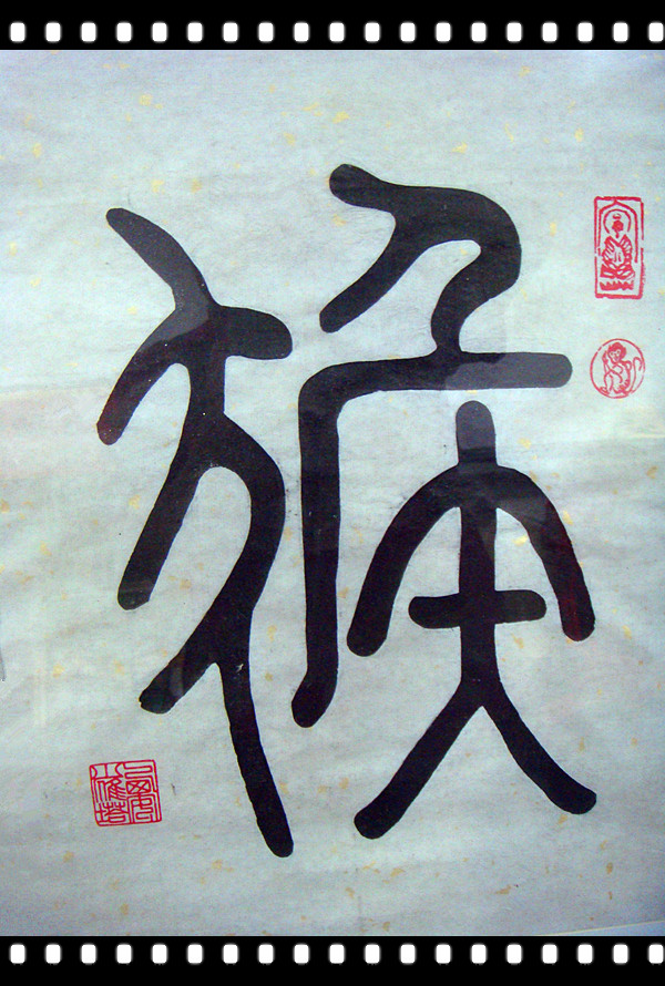 DSC08677_副本.jpg