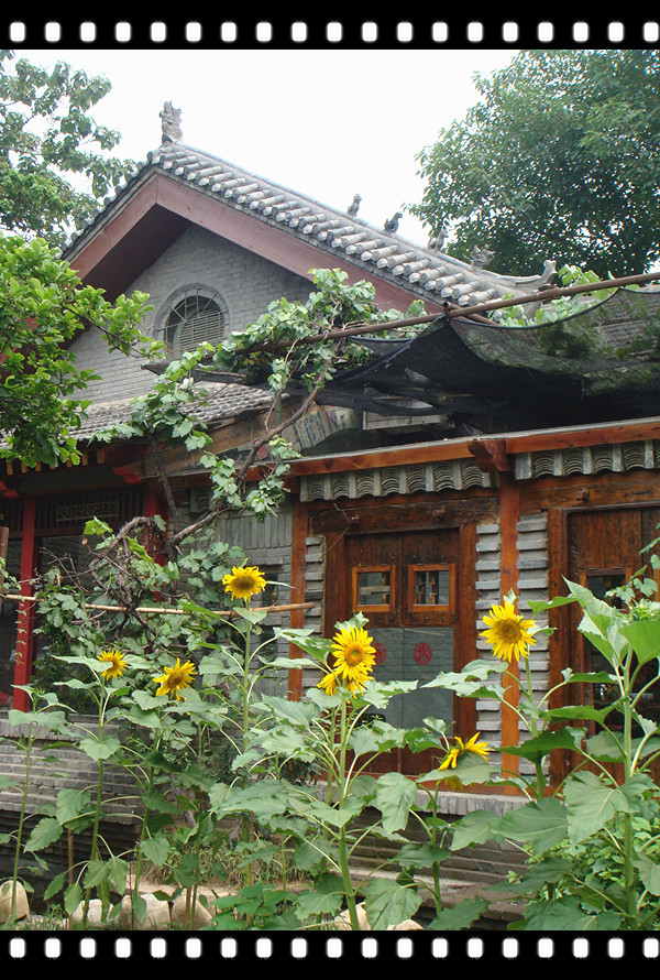 DSC08719_副本.jpg